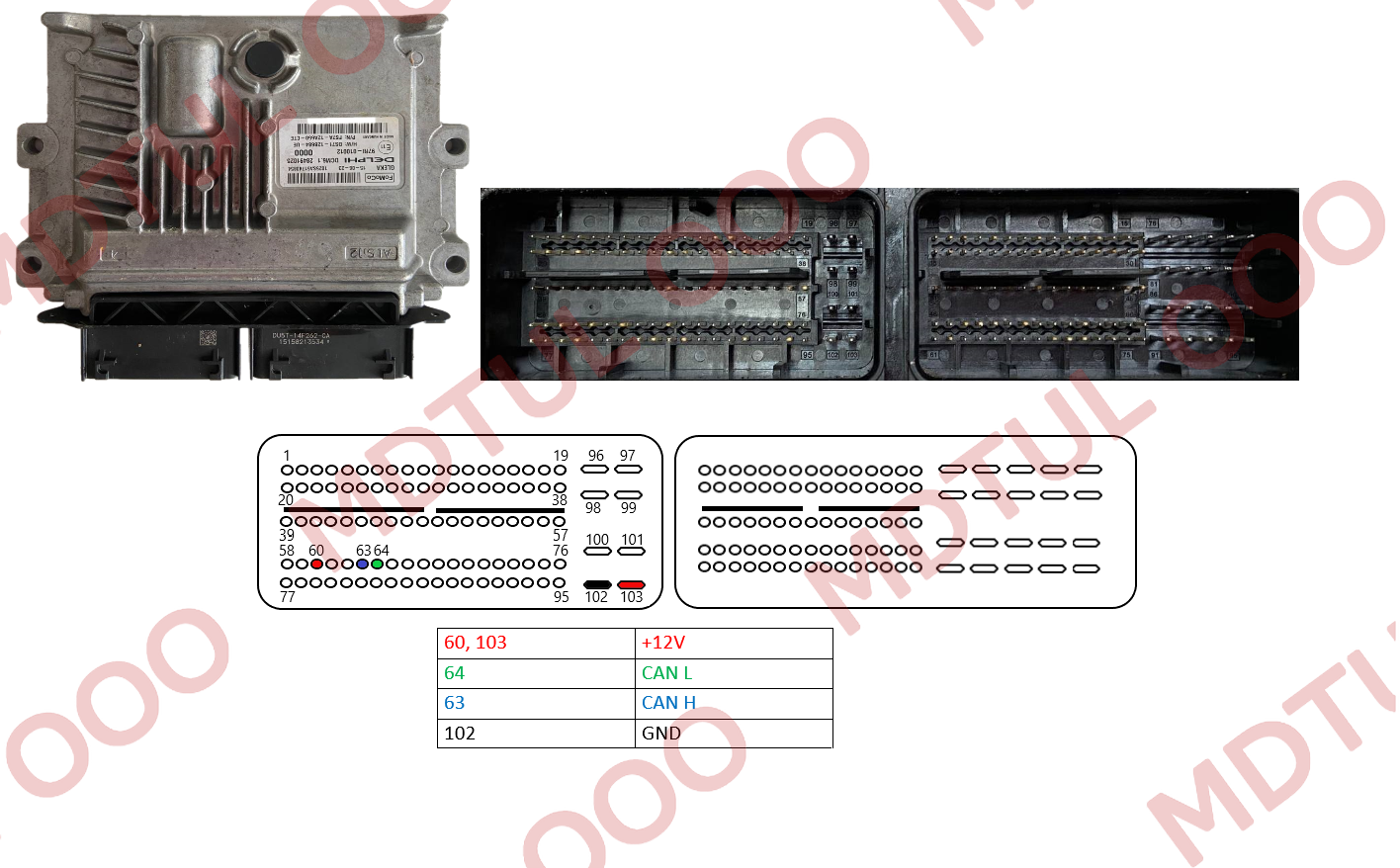 DCM6.1 1